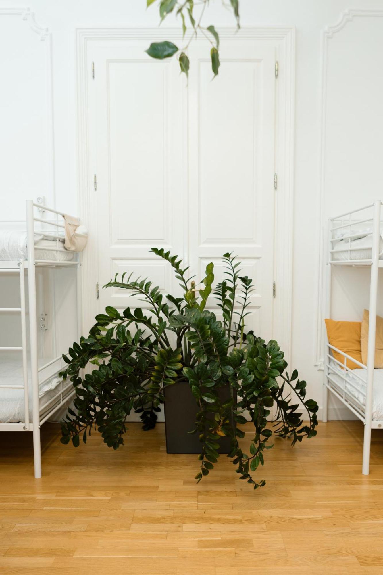 Jupiter Home Buda Budapest Extérieur photo